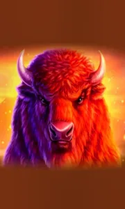 Buffalo 50