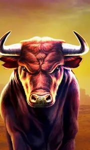Black Bull